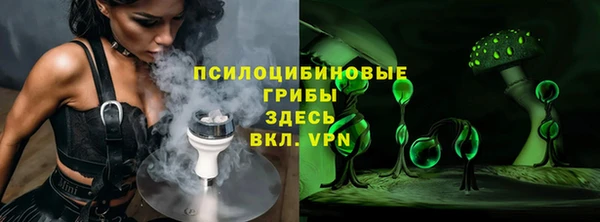 ECSTASY Абаза