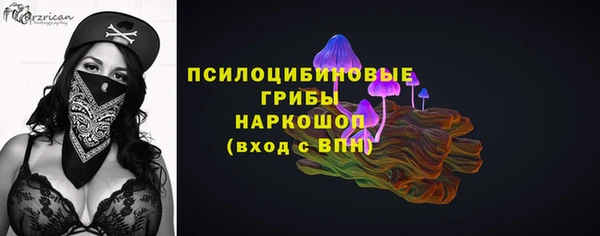 ECSTASY Абаза
