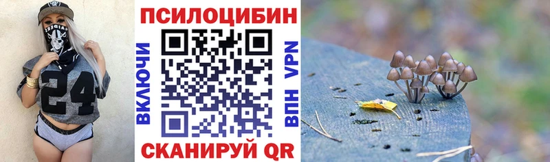 Псилоцибиновые грибы Magic Shrooms  где найти   Петров Вал 